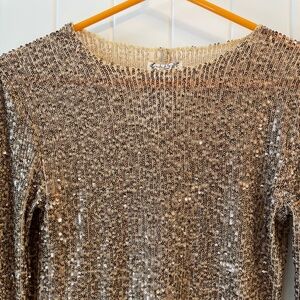 Free people sequined top